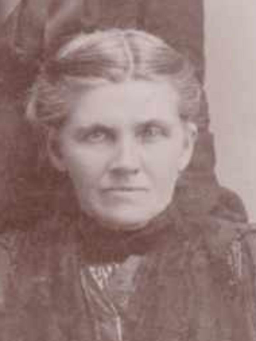 Sarah Elizabeth Gilson (1840 - 1915) Profile